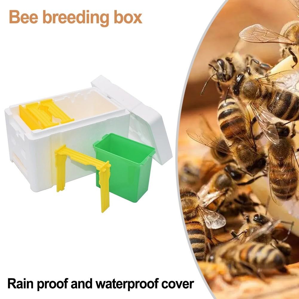 Boîte d'accouplement des abeilles, mini ruche, boîtes à abeilles avec distributeur d'eau, outil d'élevage et de récolte d'abeilles, maison naturelle