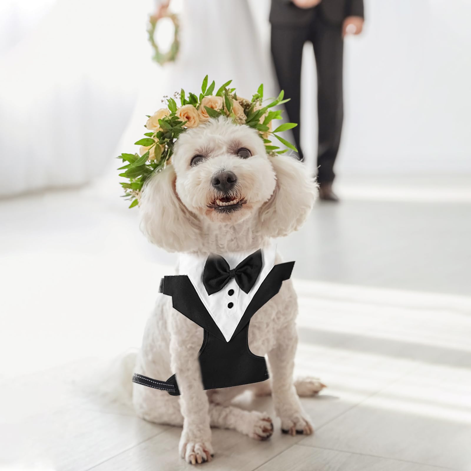 Smoking Collare per Cani Set Bandana Guinzaglio Poliestere Bianco Nero Media