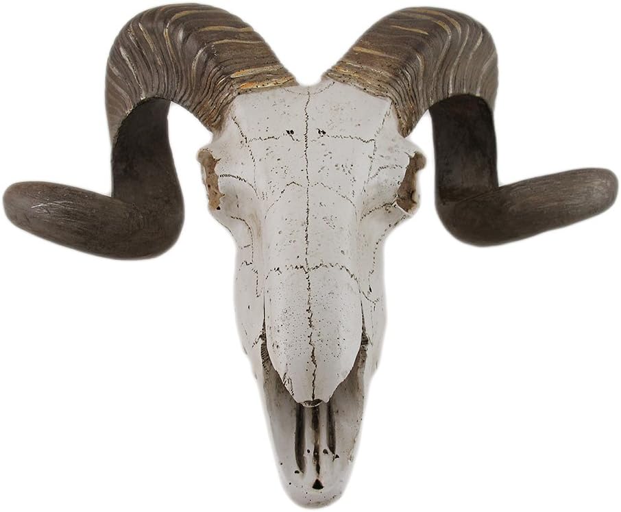 Deco 79 Polystone Sheep Home Wall Decor Skull Wall Sculpture, Wall Art 14" x 5" x 12", White