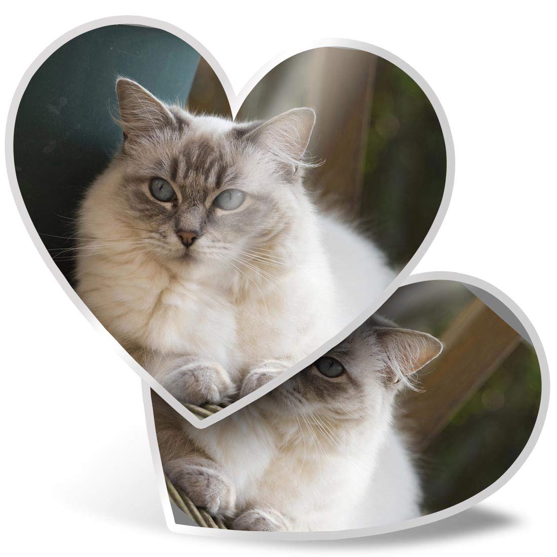 Destination Vinyl Ltd Multi 2 X Heart Vinyl Stickers 15 Cm - Ragdoll Cat Kitten Cats Cute 2285