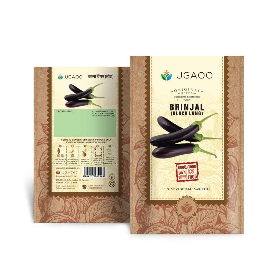 UGAOO Long Black Brinjal Vegetable Seeds (Pack of 800mg) (B09MLP4485) Amazon Price History, Amazon Price Tracker