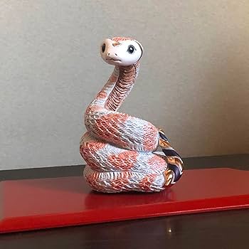 61XHS0rX3ML._AC_UF350,