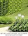 Bright Zeal Solar Stake Lights, Life-Size Figurines LED, Assorted/Multicolor, 3 Count