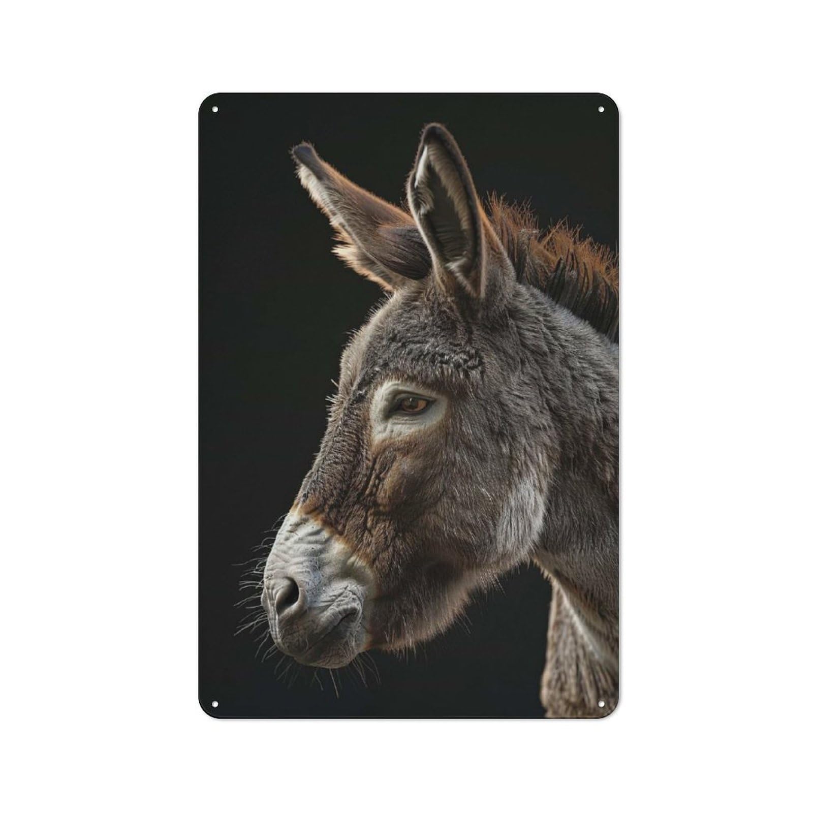 Junmoney Style-7 Donkey Vintage Metal Wall Sign 30X20cm For Kitchen Or Home Bar, For Garage, Workshop And Man Cave Decoration