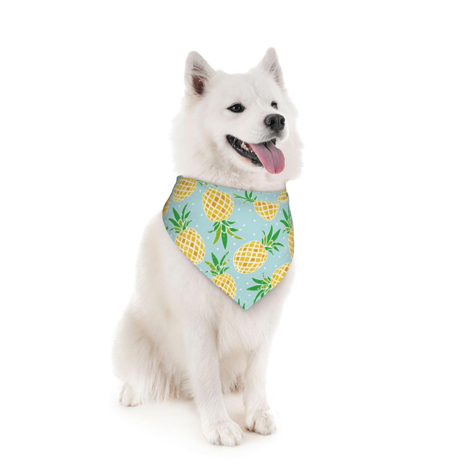 View 4