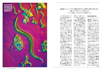 老いの科学 超高齢社会を生きる (ナショナル ジオグラフィック