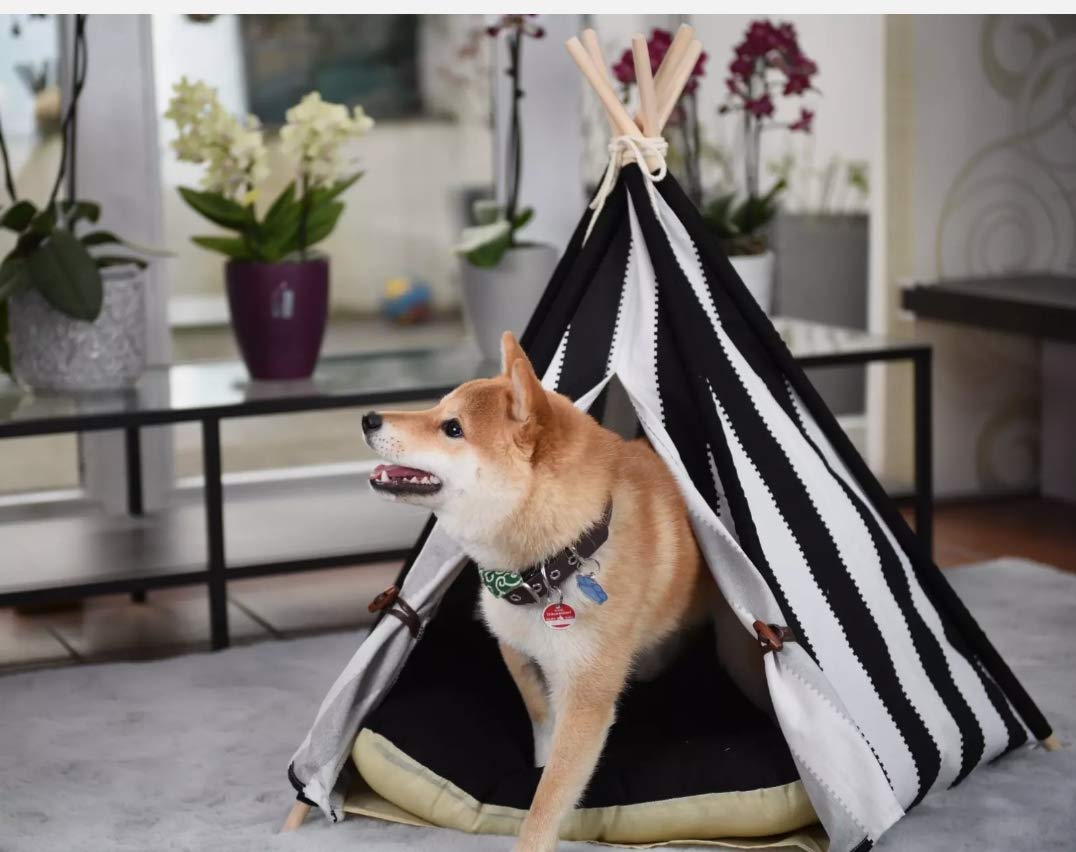 little dove Tipi pour animal domestique - Lit pour chat - Tentes pour chien et chat (avec coussin)