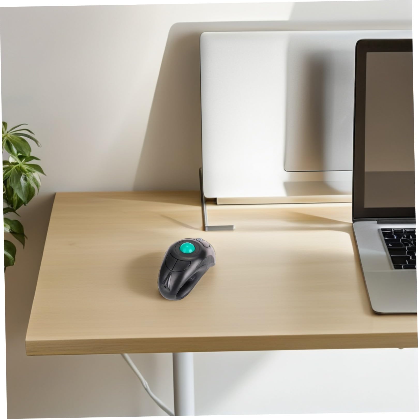 Souris à Boule de Commande sans Fil 1000 Dpi Plastique Noire | 2, 4 Ghz et Port Usb, 5 Touches, Forme Dauphin, Usage Portable pour Ordinateur Portable