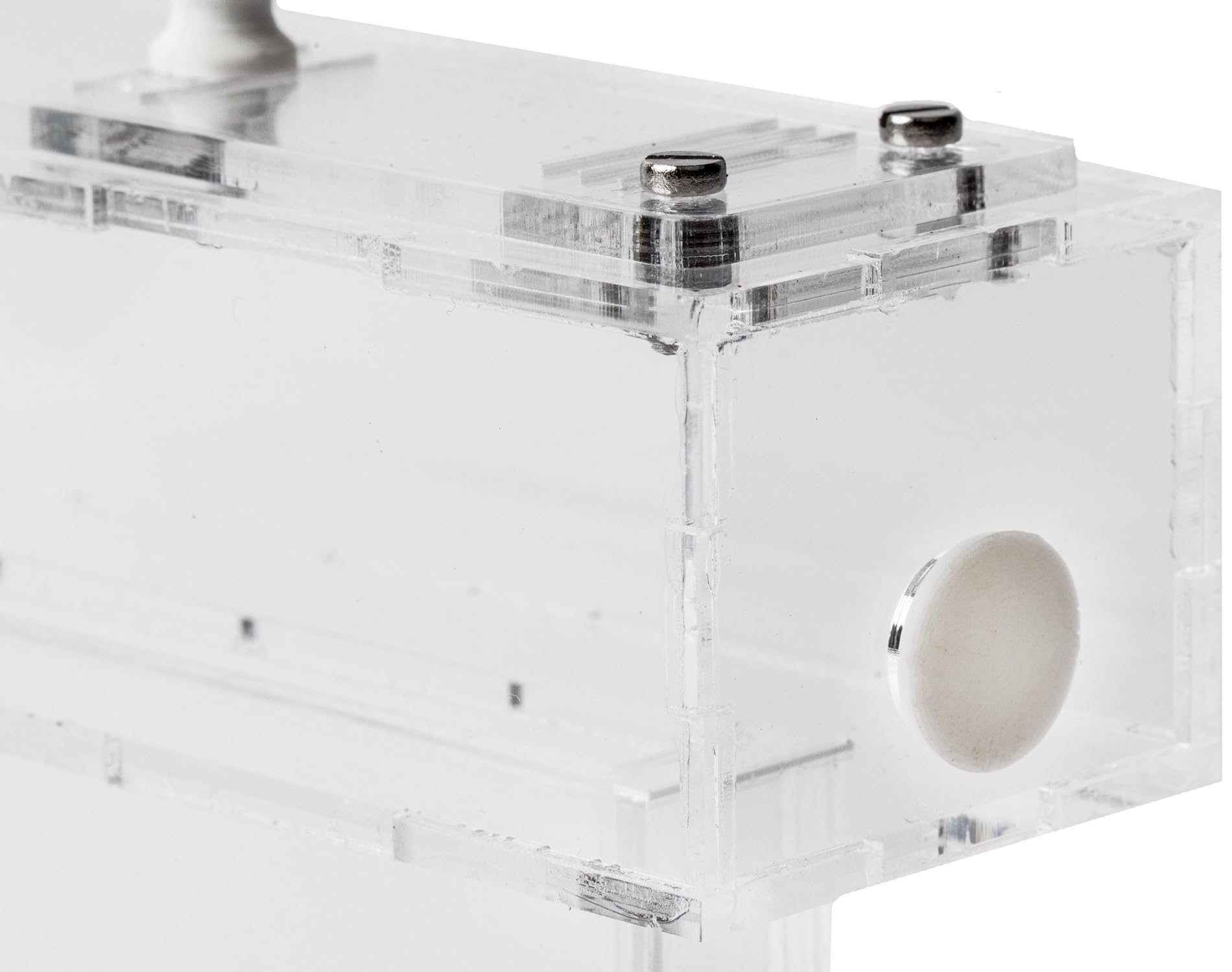 AntHouse Fattoria Di Formiche In Acrilico - Set Didattico Con Formiche Vive, Spugna E Alimentazione