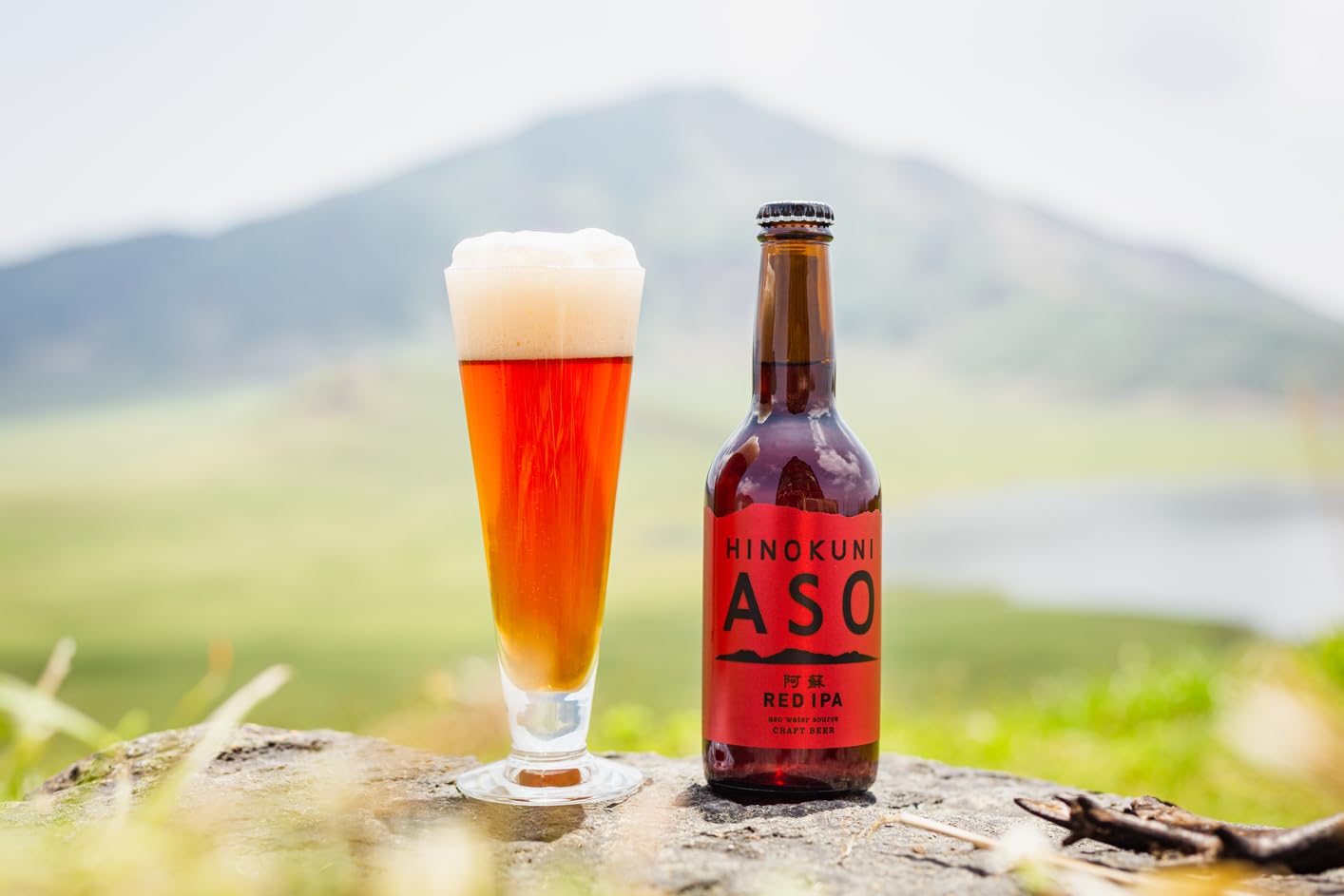 Amazon.co.jp: みなみ阿蘇ビール 阿蘇レッドIPA 瓶 5％ 330ml : 食品