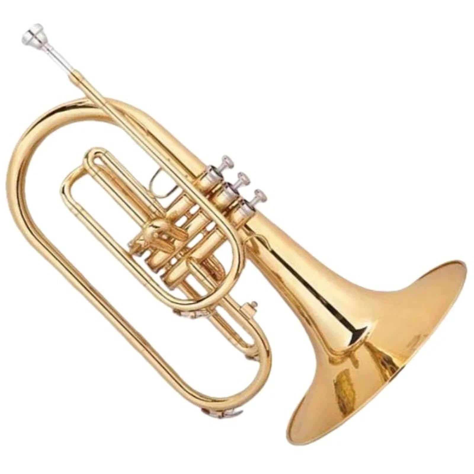 Instrument Muzyczny Waltornia Melodia Marszowa Pozłacany Korpus Z Mosiądzu Bb Waltornia Barytonowa Gama Gładkich Zaworów Trwała