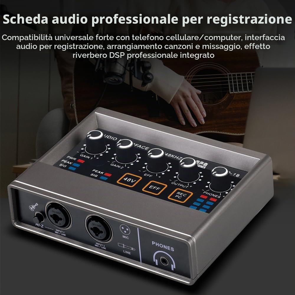Scheda Audio Interfaccia Audio Registrazione Interfaccia Audio XLR Riverbero DSP Alimentazione Phantom 48v Scheda Audio Risoluzione 16 Bit/48 Khz Plug And Play Per Registrazione