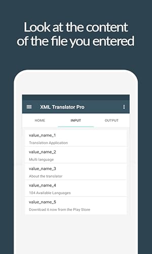 XML Translator Pro