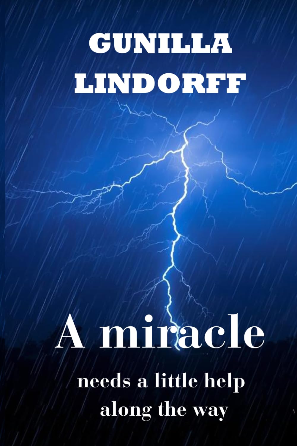 A miracle needs a little help along the way: A Memoir of Resilience and Recovery