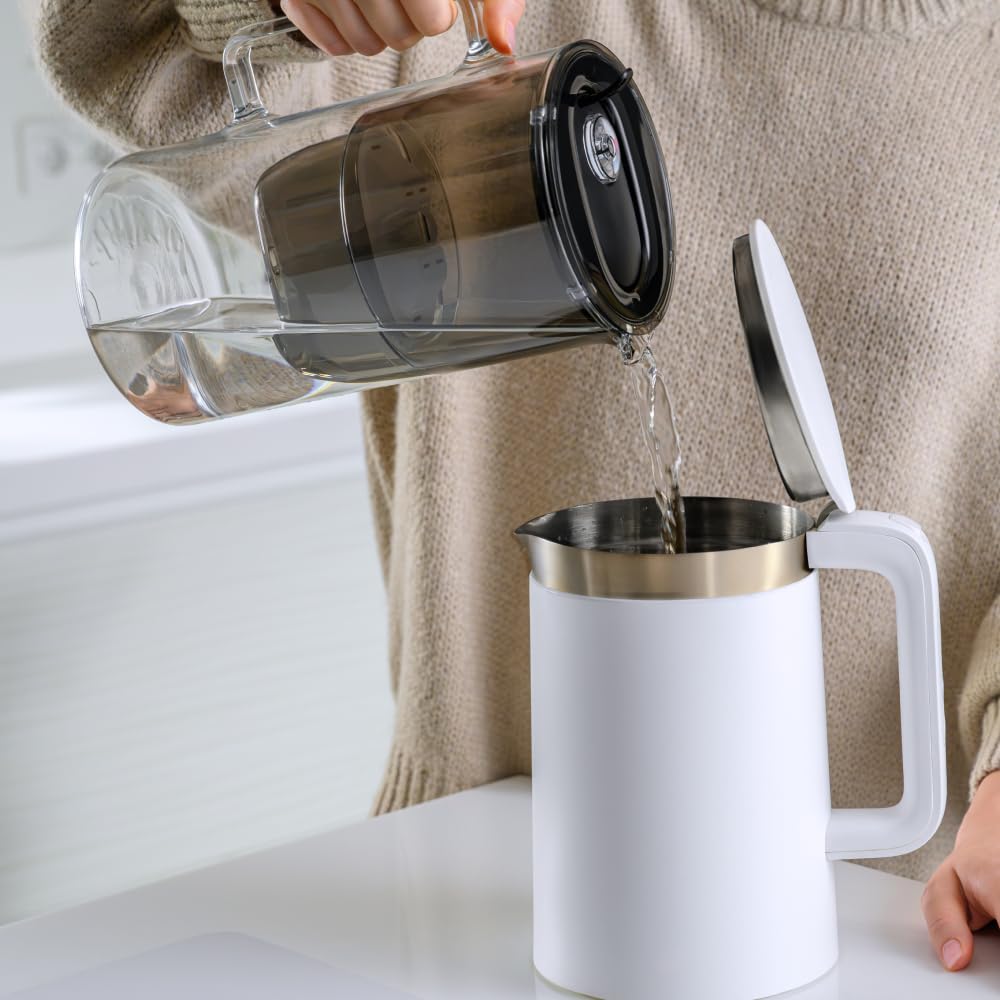 AQUAPHOR Waterfilterkan Jasper Zwart inclusief 1 MAXFOR Filter I Verlaagt Kalk & Chloor I Karaf voor 2,8 liter I Tafelwaterfilter I Past in de koelkastdeur AQUAPHOR Waterfilterkan Jasper Zwart inclusief 1 MAXFOR Filter I Verlaagt Kalk & Chloor I Karaf voor 2,8 liter I Tafelwaterfilter I Past in de koelkastdeur