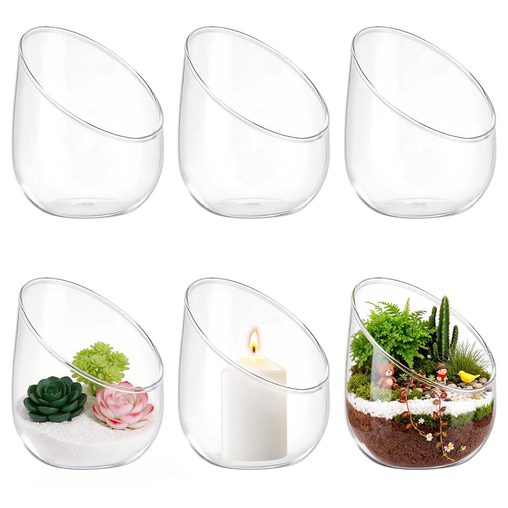 6 Terrarium en Verre Transparent pour Plantes Aériennes Vases Ronds en Verre Transparent de 12.2cm Vase/Terrarium pour Plante Succulente et Cactus Idéal pour la Décoration Intérieure