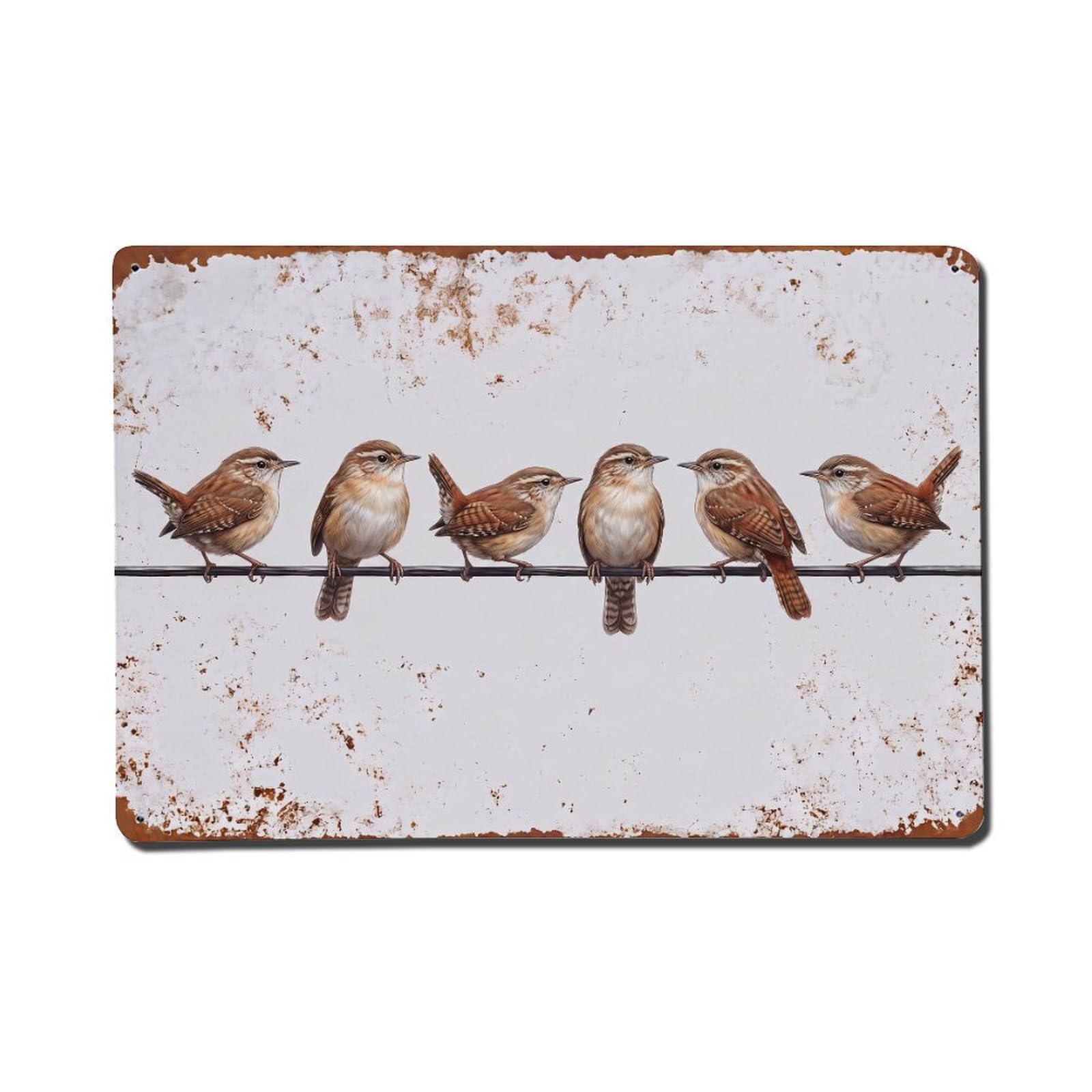 Vintage Retro Birds Eurasian Wren Metal Tin Sign