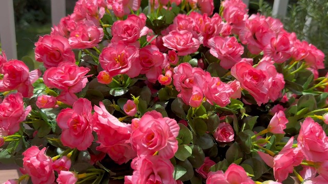 Amazon.com: HyeFlora Artificial Faux Outdoor Flowers Plants for