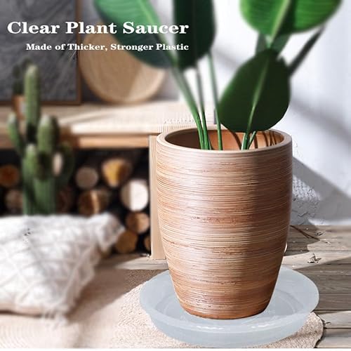 Ovzilki Plant Saucer 6 Pack Of 4 6 8 10 12 14 16 Inch thumb #5