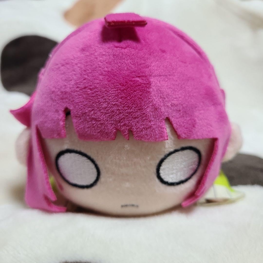 Amazon.co.jp: 虹ヶ咲学園 寝そべり 天王寺璃奈 練習着 : おもちゃ