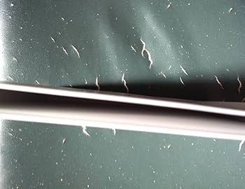 Amazon.co.jp: ファンクラブ 限定 SMAP 写真集 2016 ジャニーズ