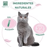 Ver la foto 4