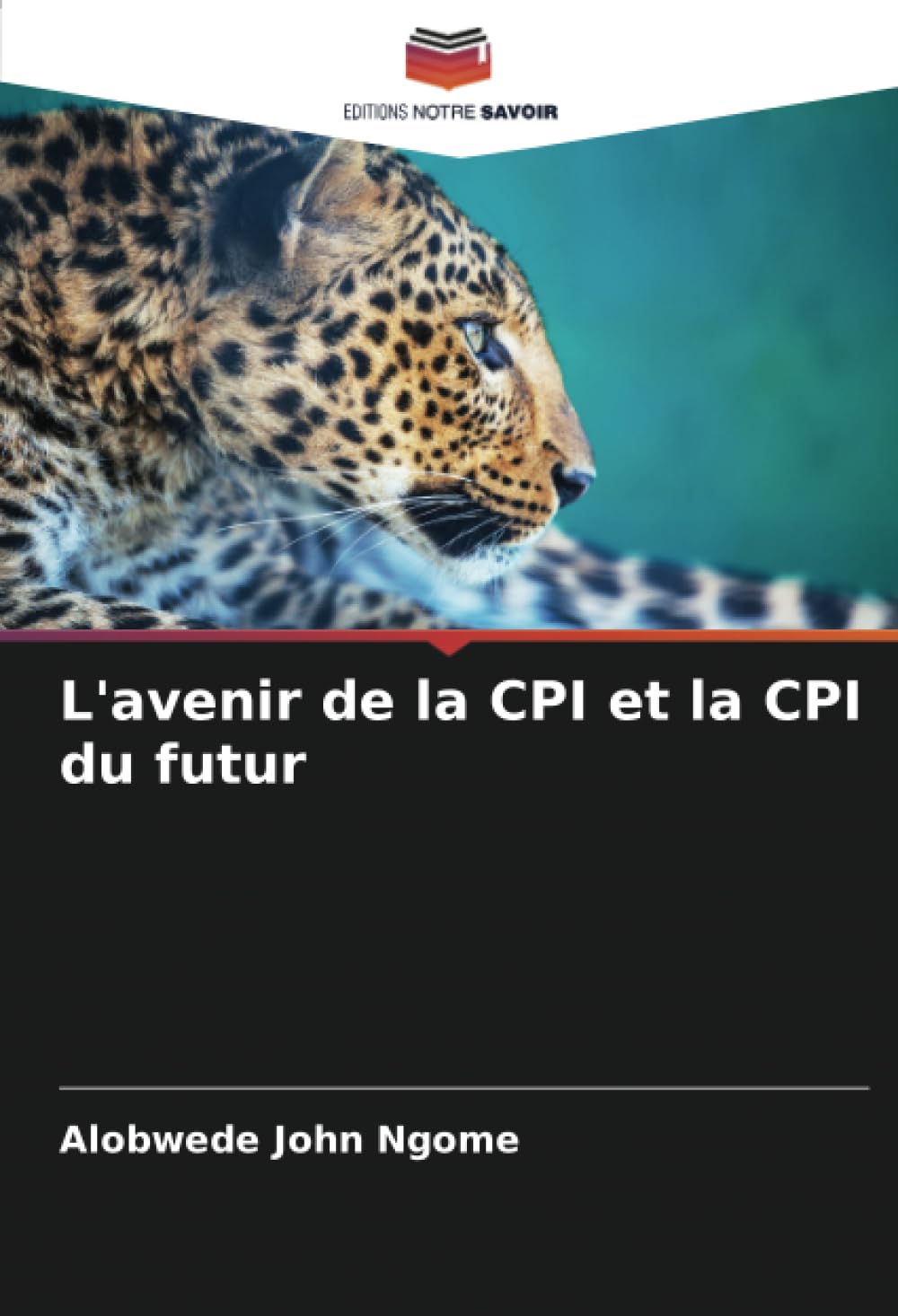 L'avenir de la CPI et la CPI du futur