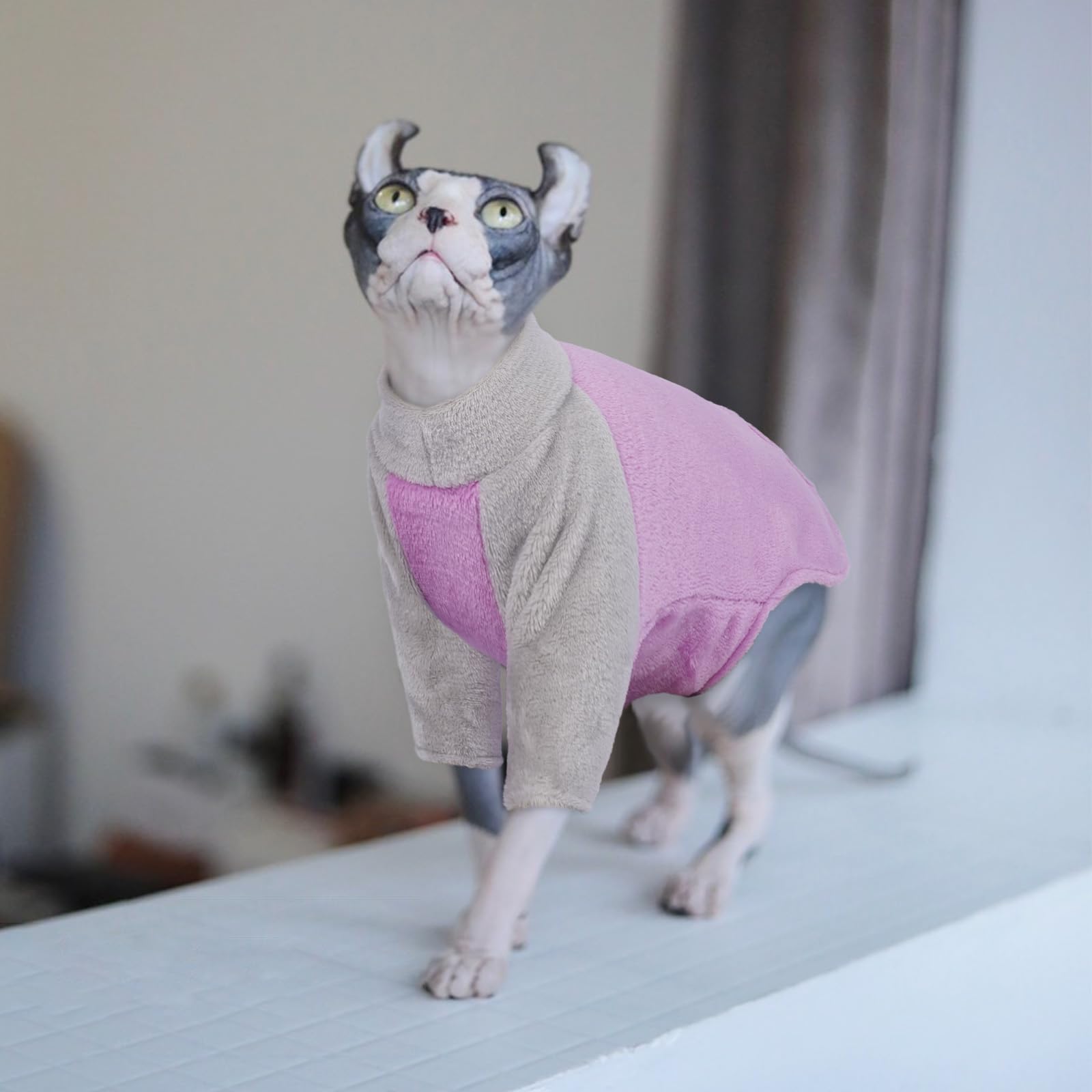 Ropa de Invierno para Gatos, Abrigo Invierno Gatos Jersey Suéter Cálido Sphynx Pijama para Gato Pequeño Mediano Grande(Púrpura, L)