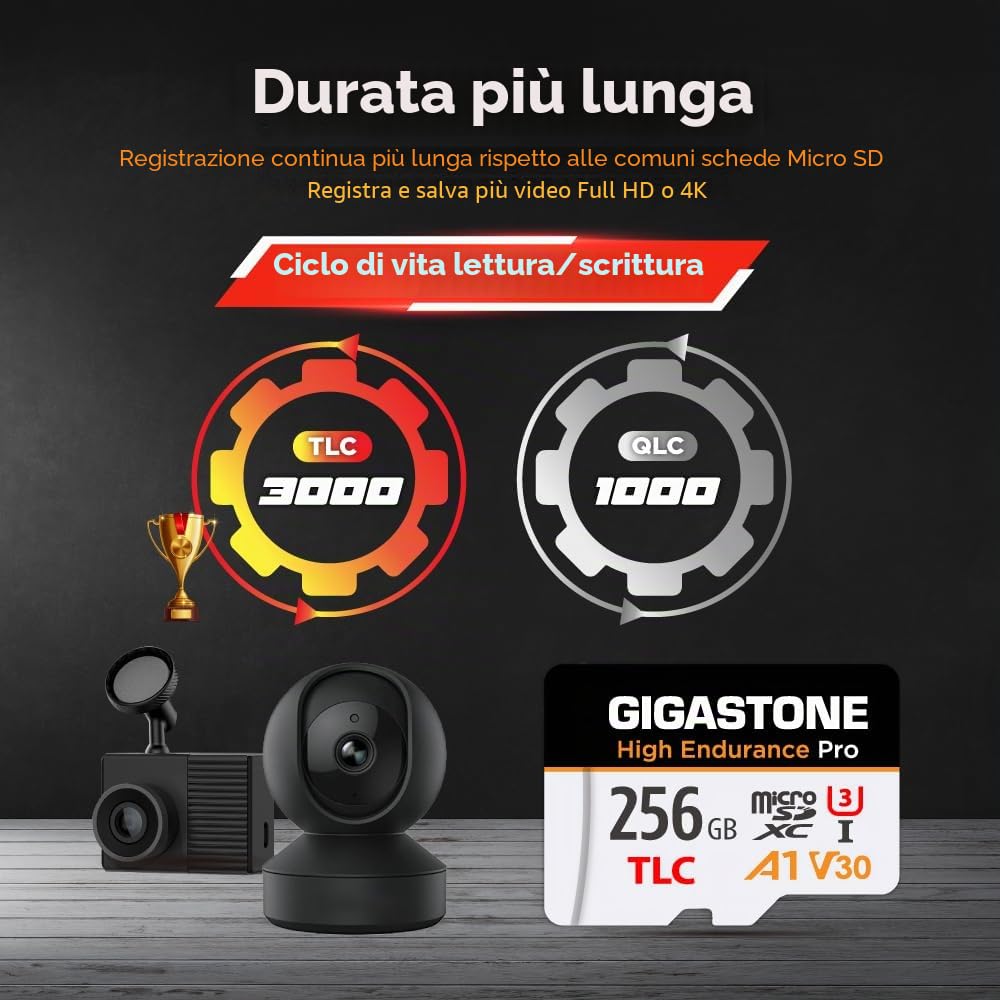 [5 Anni Recupero Dati Gratuito] GIGASTONE 256GB Scheda Micro SD, High Endurance Pro, fino a 100MB/s, compatibile con REDTIGER ROVE VIOFO VANTRUE PRUVEEO ARIFAYZ Dash Cam, MicroSDXC UHS-I A1 V30 U3