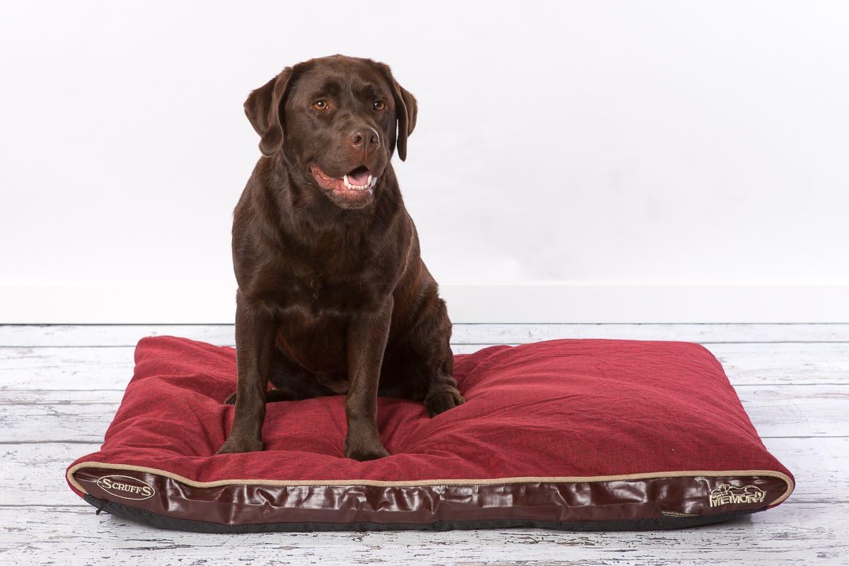 scruffs hilton memory foam