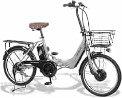 PELTECH ペルテック TDN-212L 折りたたみ電動自転車 unidy-y_m7189636