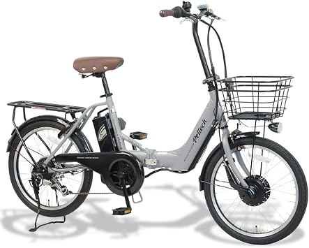 PELTECH  Aluminum Folding Electric Assist Bicycle, 20-Inch, Shimano Exterior 6 Speeds, Japan Electric Motor, Folding Bicycle with Stand and Rear Carrier Included Simple Assembly Required TDN