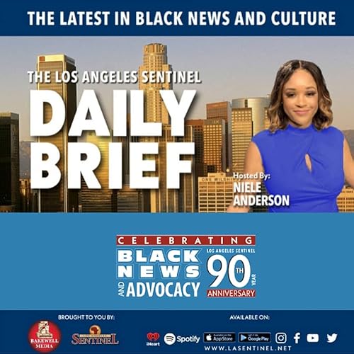 『The Daily Brief Podcast』のカバーアート