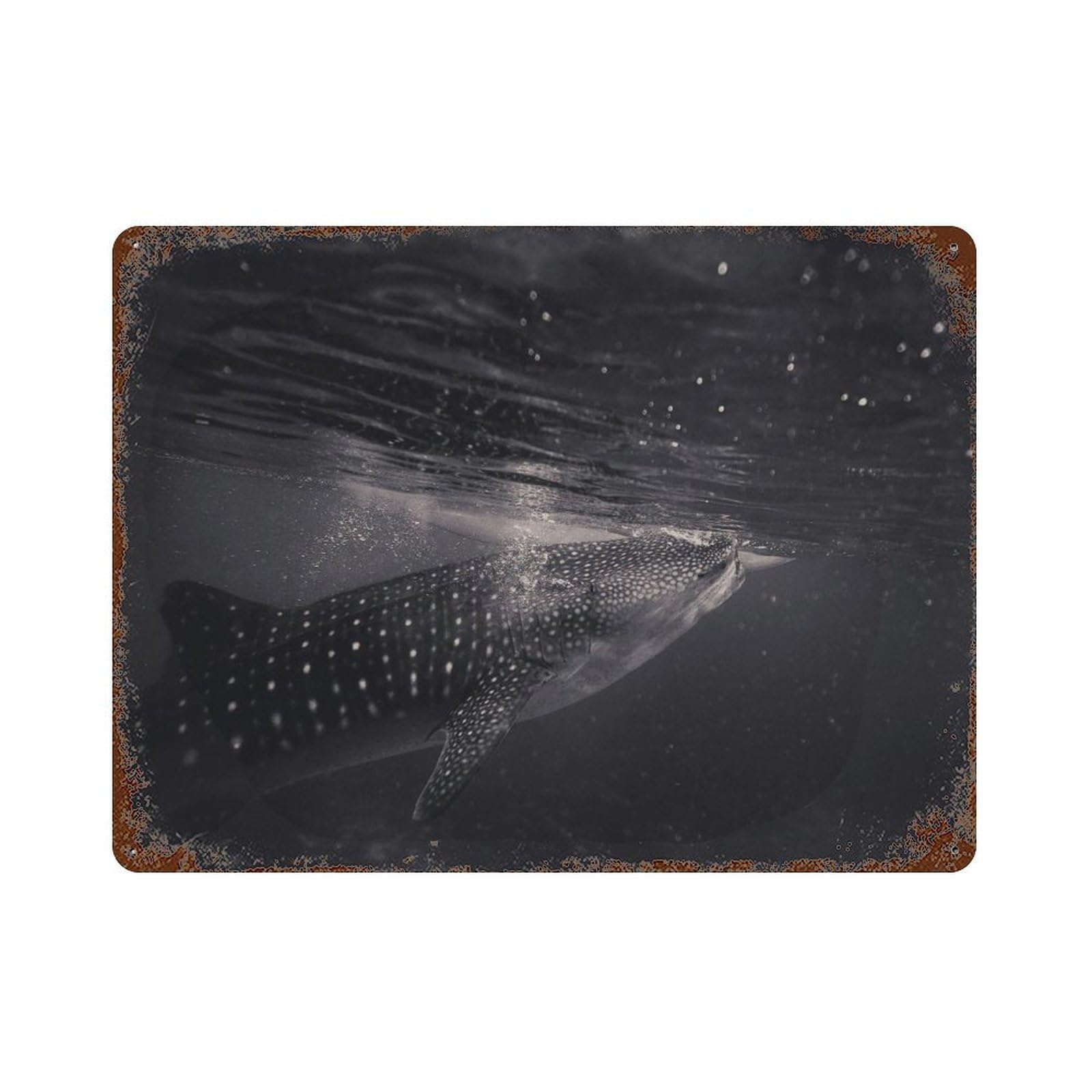 xiaoxiaoshen Humpback Whale Marine Animal Wall Decor Art Metal Tin Poster Modern Home Decor Art Home Bar Shop Decorations Vintage Sign 30x40cm