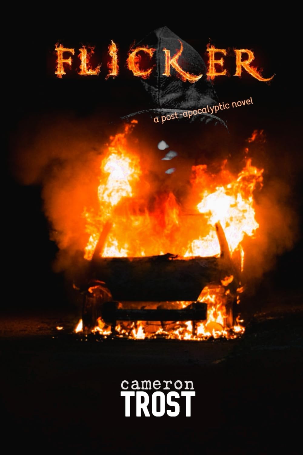 Flicker: A Post-Apocalyptic Novel