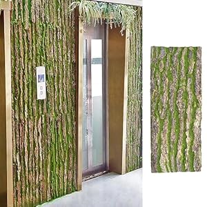 Bbhw 56425 Moos-Terrarienrückwand 50x100cm