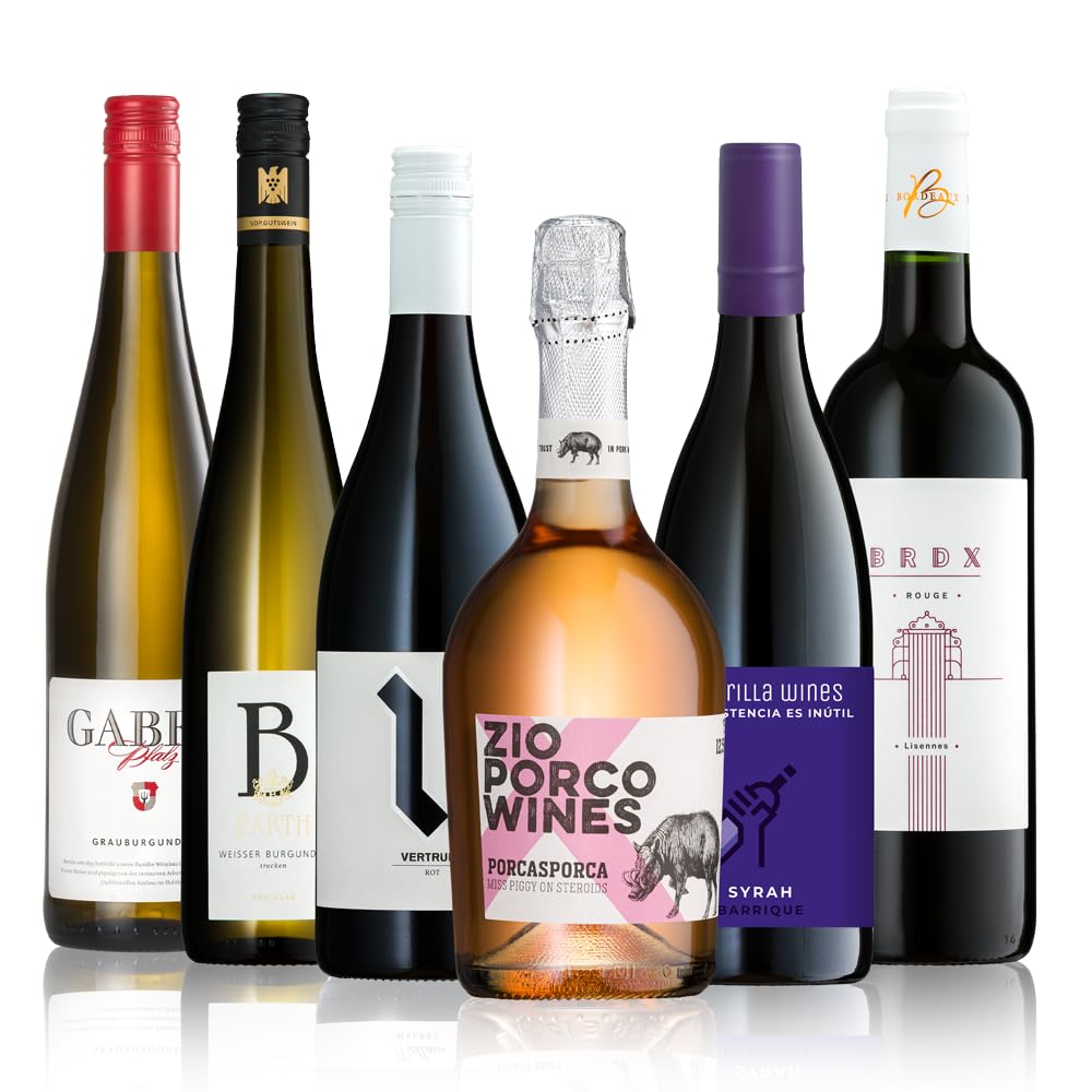 GEILE WEINE Weinpaket HERBST (6 x 0,75l) Probierpaket mit Rotwein und Weißwein von Winzern aus Deutschland, Spanien, Italien &Frankreich