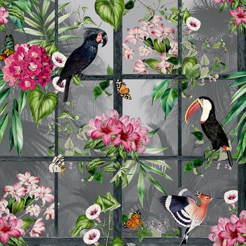 Arthouse Cuban Tropicana Wallpaper Tropical Birds Flowers Windows - Multi/Grey 924408