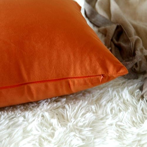 Miniatura 6 de Artcest - Juego de 2 fundas de terciopelo para cojines decorativos, fundas para cojines decorativos sólidos para sofá y cama