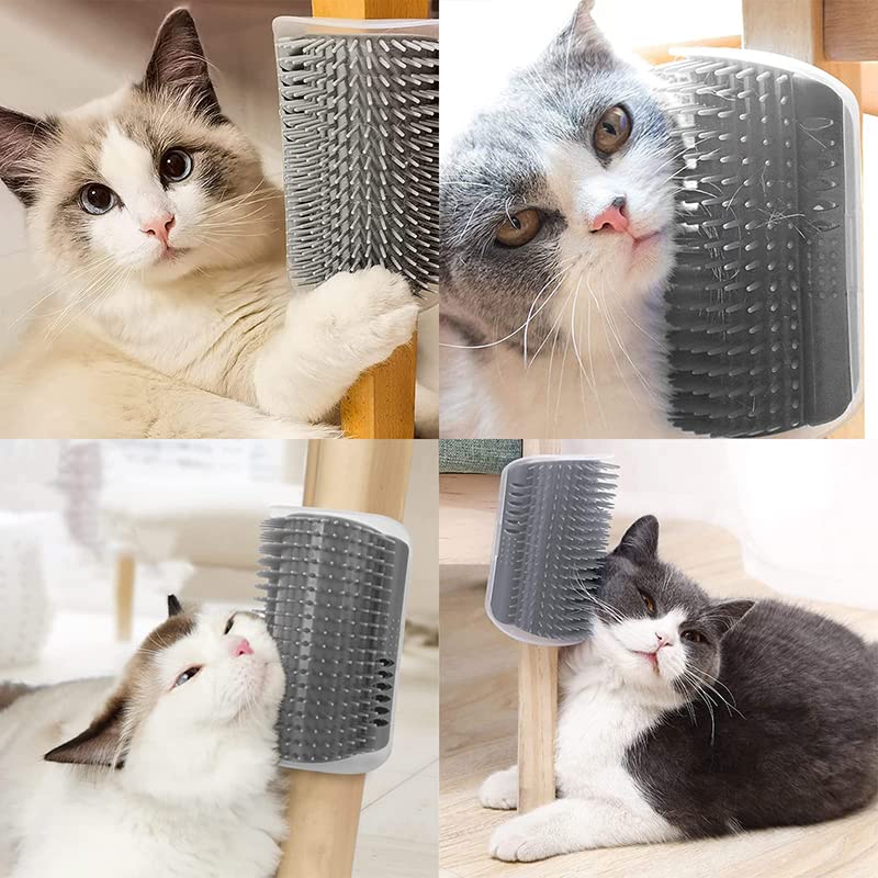 猫　毛づくろい maxresdefault.jpg
