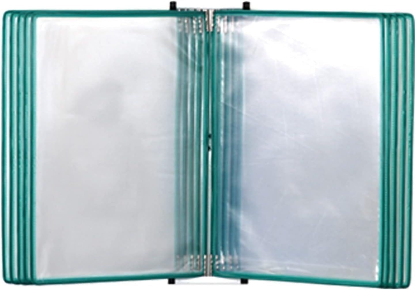 noxozoqm Wall Mount Reference Display, A4 Flip File Holder With 10 Letter-Size Pockets, Strong And Sturdy, Metal*PVC(Color:D)