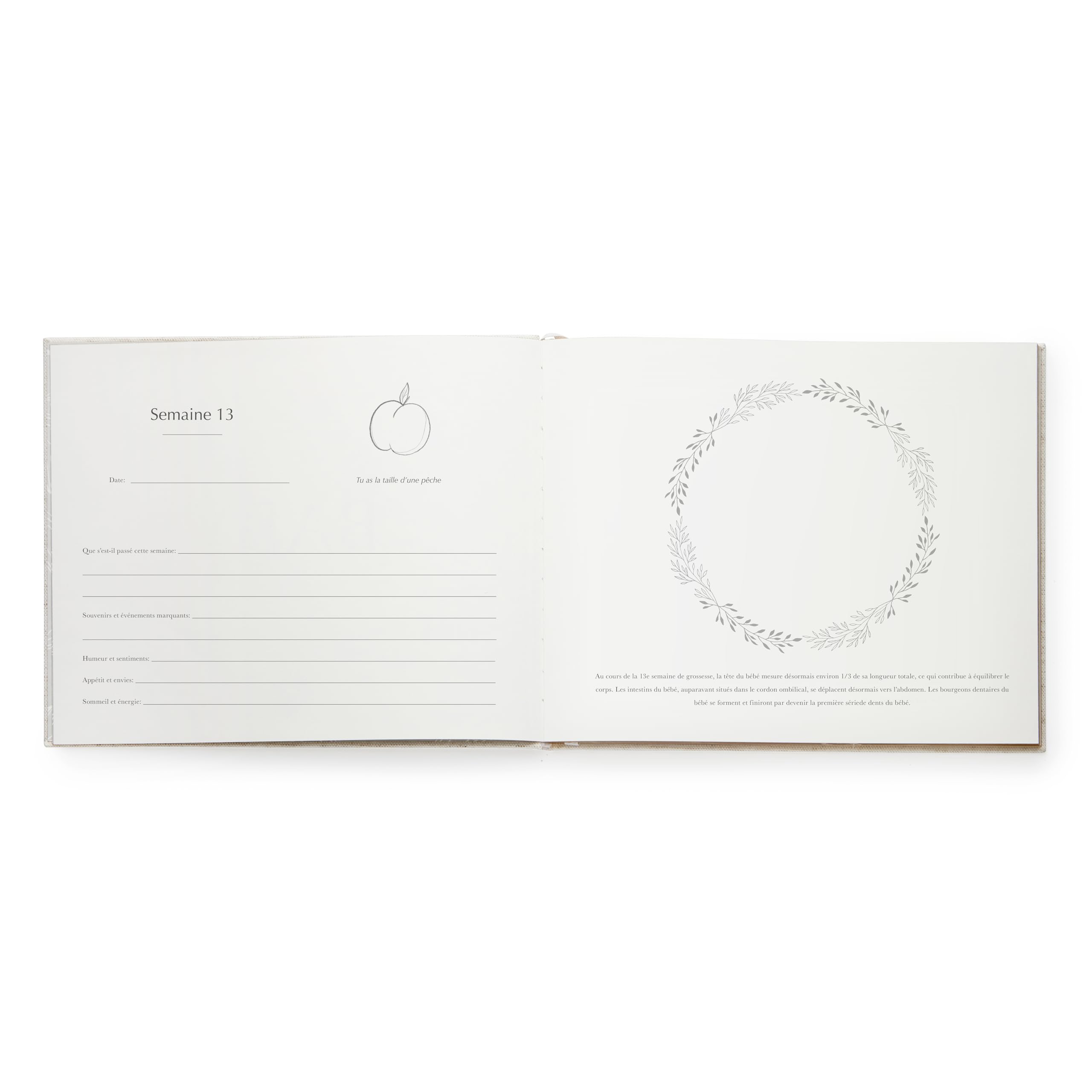 Your Edition Journal de grossesse – Livre de souvenirs de bébé pour les futures mamans – Livre de grossesse de luxe – Planificateur de grossesse – Cadeau de grossesse pour la première fois – Avec