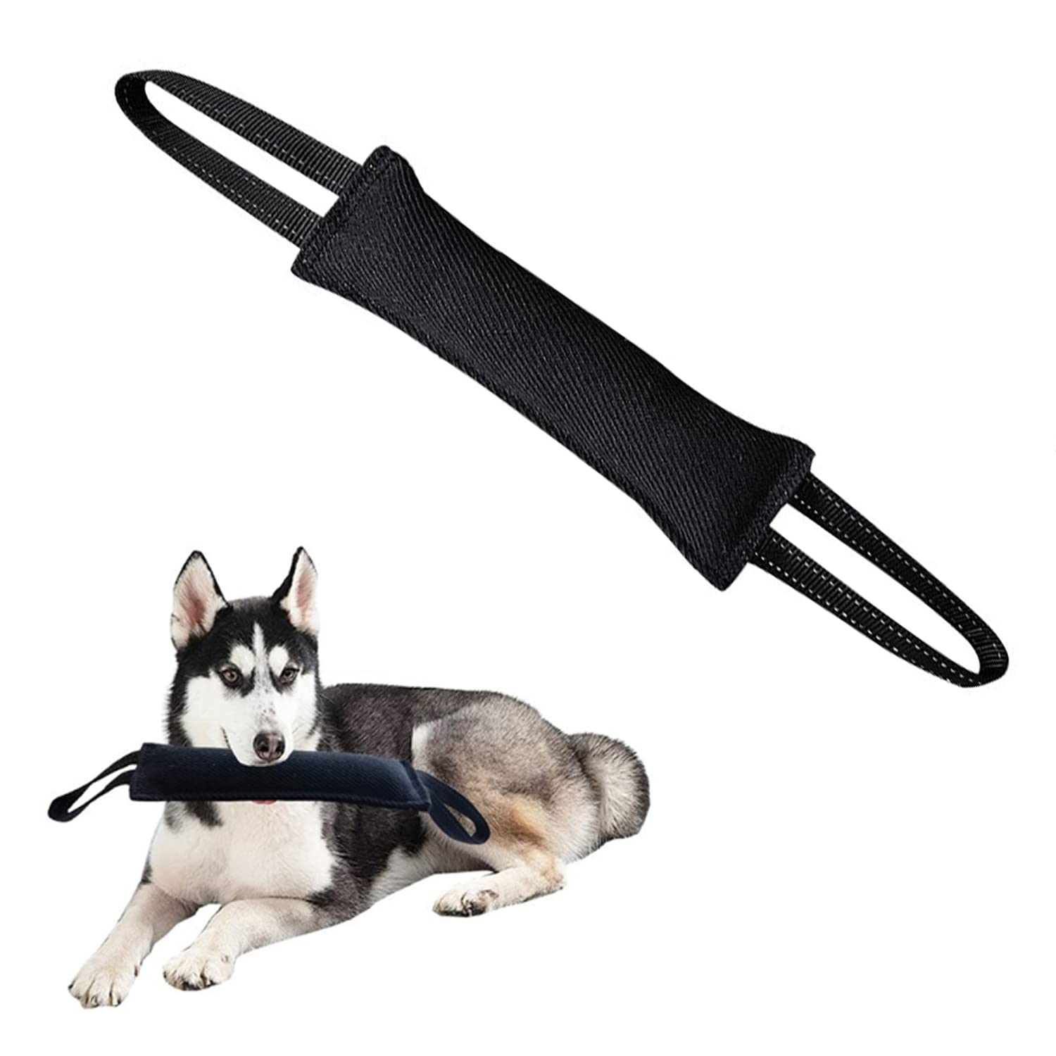 What Fabric Is Good For Dogs