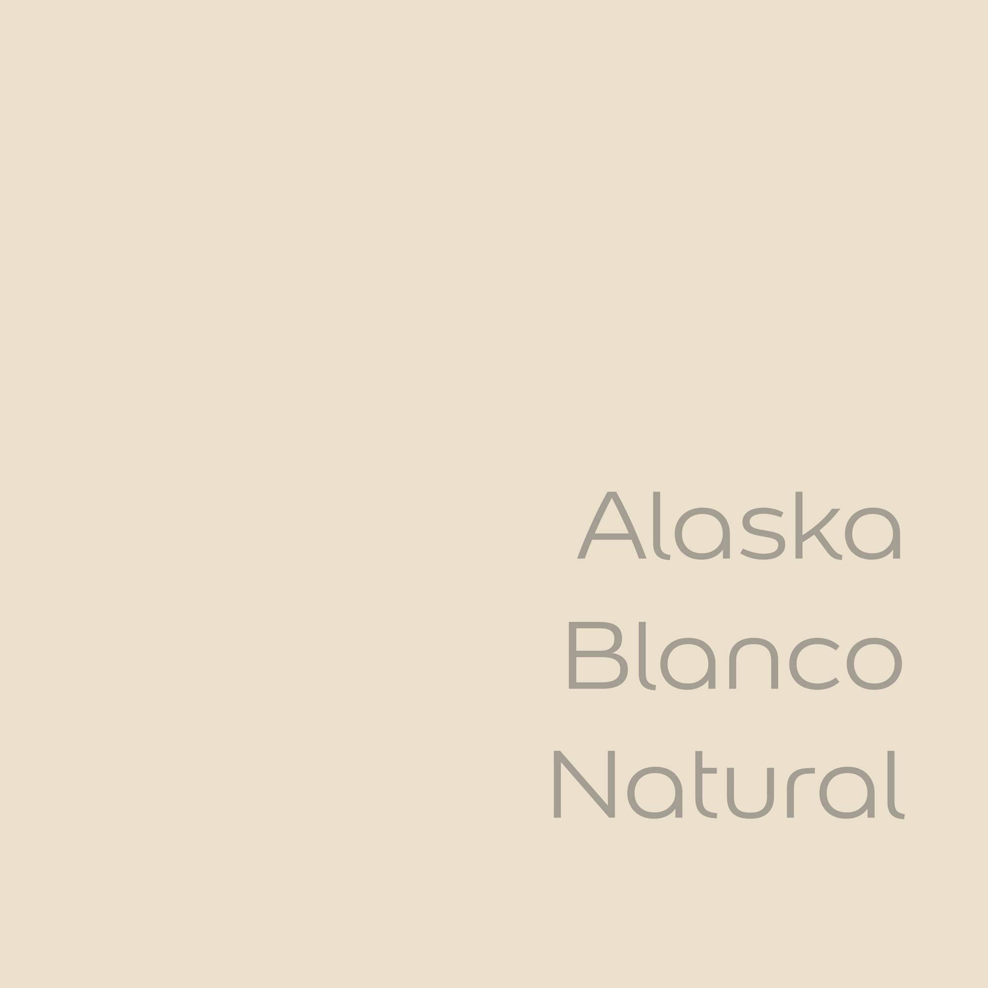 Bruguer Tester Couleurs du monde Peinture murale monocouche Alaska Blanc naturel 30 ml