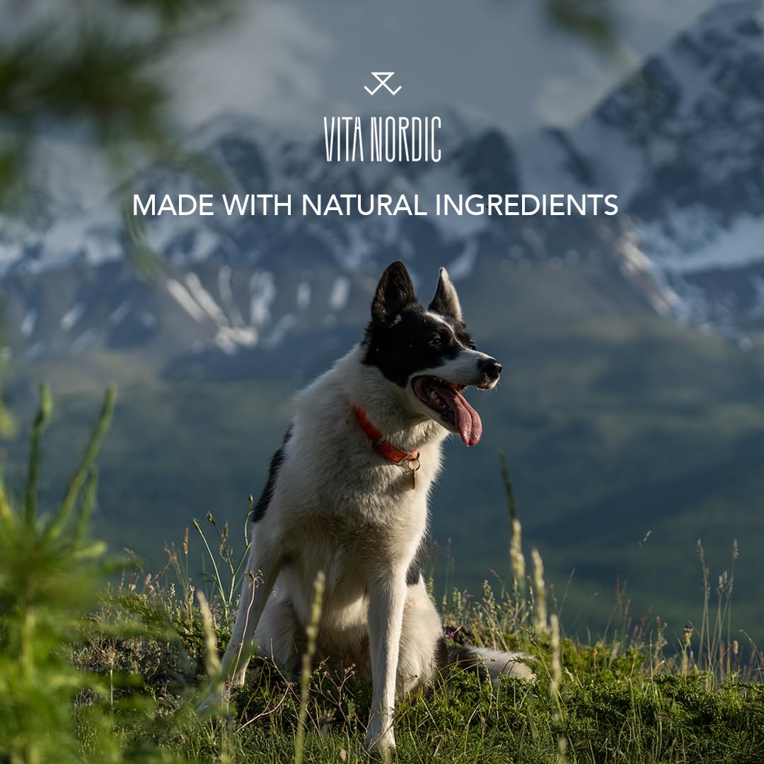 VITA Nordic Kelp Powder dla psów – 100% naturalne algi morskie (Ascophyllum Nodosum) przeciwko kamieniu nazębnemu i płytce nazębnej – wspomaga pielęgnację zębów, higienę jamy ustnej, skórę i sierść