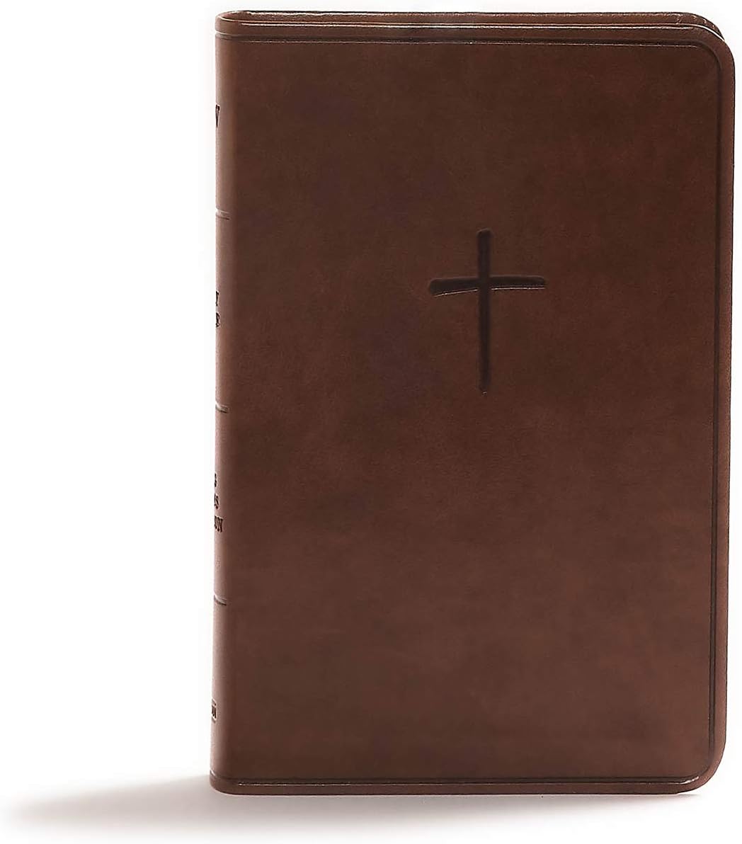 Holy Bible: Christian Standard Bible, Brown, Leathertouch, Value Edition Imitation Leather – July 1, 2018