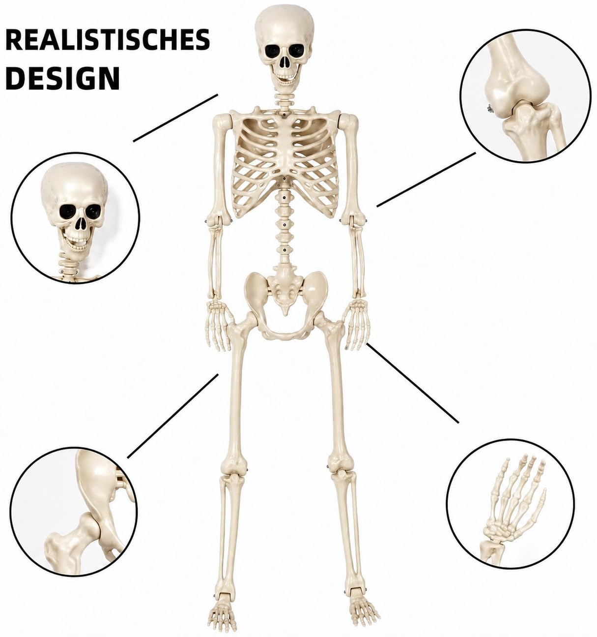 4 Stück Halloween Skelett, 90 cm, lebensgroßes Ganzkörper Skelett aus Kunststoff mit beweglichen Gelenken, Halloween Deko Outdoor für Garten, Friedhof, Spukhaus und Halloween Party