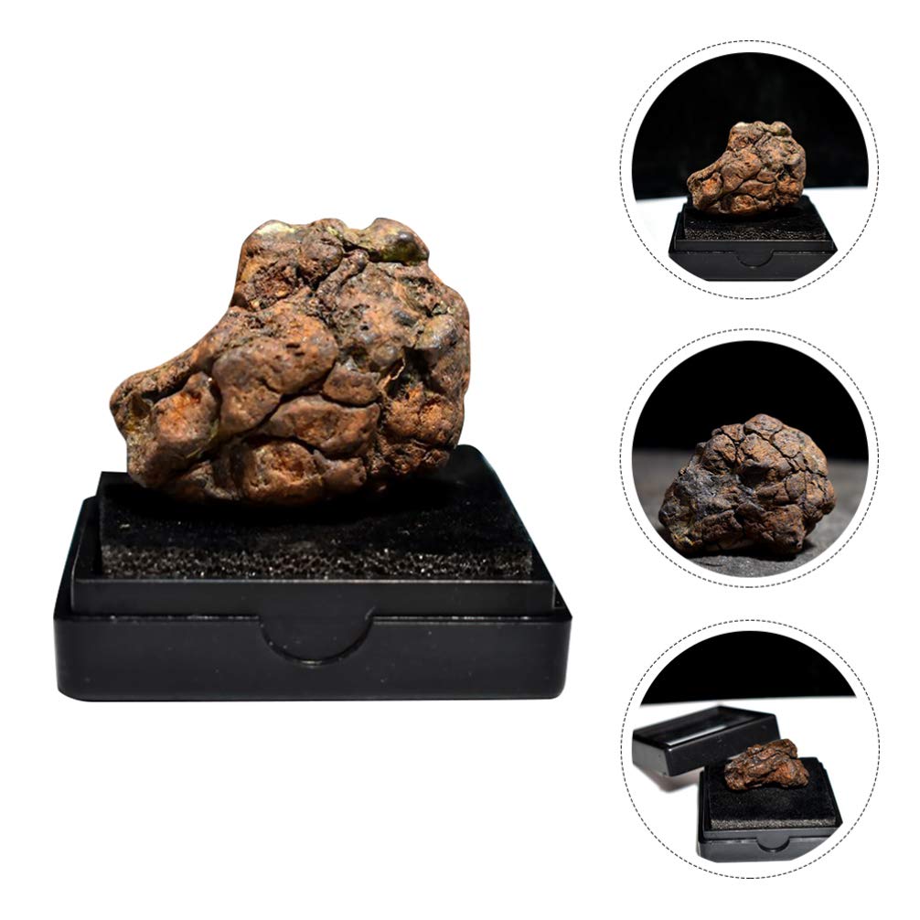 UKCOCO Real Meteorite Space Rock Meteorite Science Collection Lithosiderite Ornament with Box for Lab Box Color