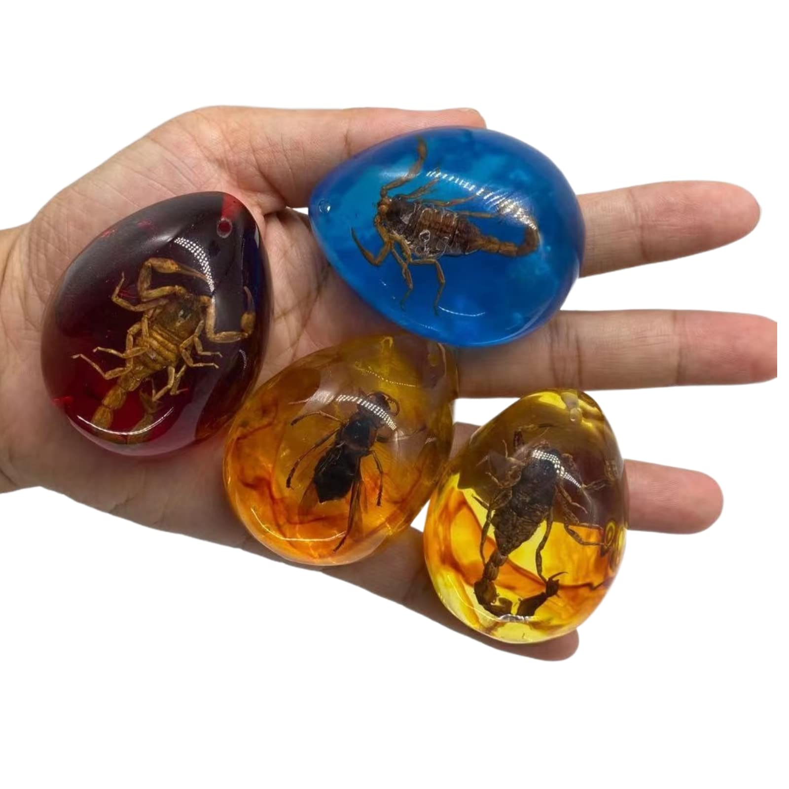Ambra fossile con insetti campioni di pietre campioni di cristallo Specimen insetto ciondolo ambra gioielli fai da te