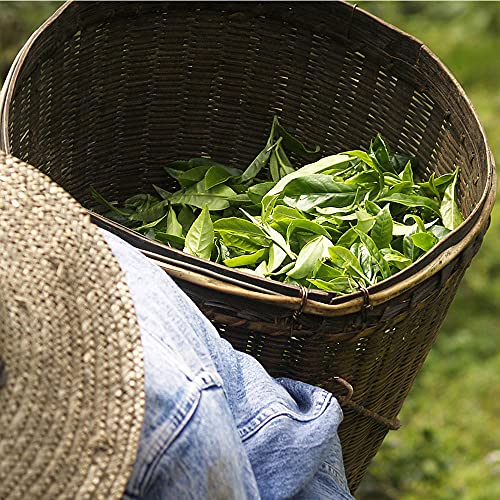 D'HERBES EN EPICES | Té negro orgánico en hojas enteras | 200g | Té negro chino a granel | Orgánico certificado y… - Imagen 6